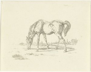 Grazend paard naar rechts