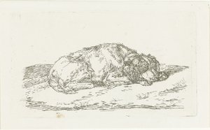 Slapende hond met kop rustend op voorpoten door Jan Dasveldt