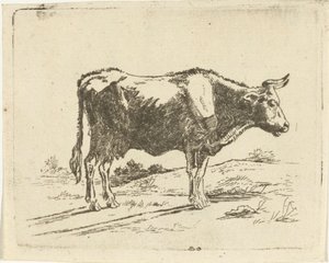 Staande koe door Jan Dasveldt