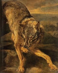 A wolf door Jan Fyt