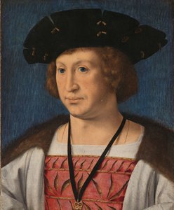 Floris van Egmond (1469-1539), Graaf van Buren en Leerdam