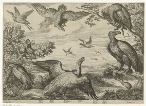Verschillende vogels en een aap