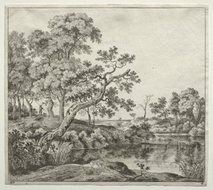 De gebogen boom door Jan Hackaert