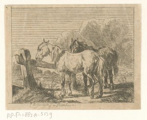 Weiland met twee paarden