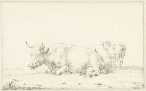 Liggende koe naar links en rechts een schaap door Jan Kobell (II)