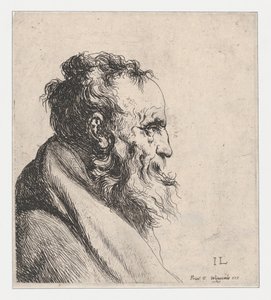  door Jan Lievens