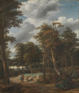 Bosweg door Jan Looten