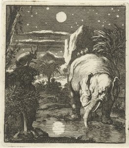 Haas en olifant met volle maan bij een waterbron
