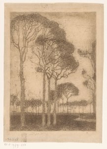 Bomen aan de rand van het Oranjewoud door Jan Mankes