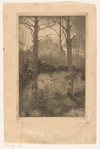 Bosrand door Jan Mankes