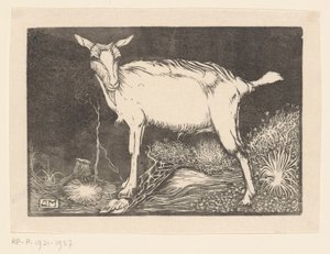 Witte geit door Jan Mankes
