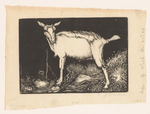 Witte geit door Jan Mankes