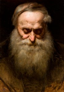 Hoofd van een oude man met een grijze baard
