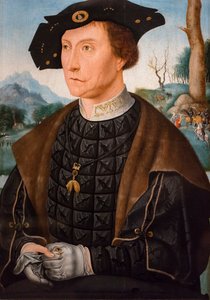 Portret van Jan van Wassenaer burggraaf van Leiden, gouverneur van Friesland door Jan Mostaert