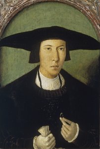 Portret van een Jonge Man