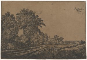 Landweg met bomen door Jan Ruyscher