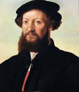 Portret van een man door Jan Sanders van Hemessen