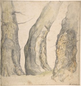 Studie van Drie Oude Kromme Bomen, 1660