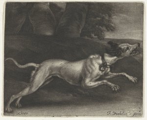 Rennende hond