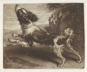 Rennende hond, mogelijk een spaniël