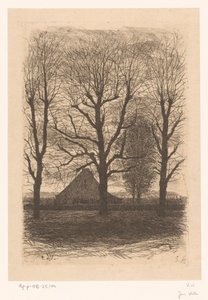 Boerderij tussen hoge bomen, Ewijkshoeve