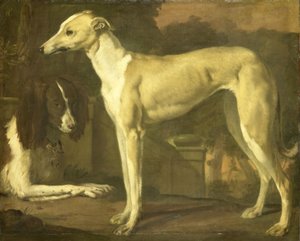 Portret van een windhond en een spaniel
