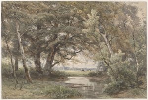 Watertje onder bomen aan het einde van een bos door Jan Willem van Borselen