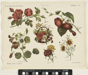 Bloemen door Jan de Haan