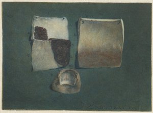 Anatomische studie van menselijke huid en nagel door Jan l