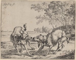 Het Betwiste Vlees (La viande disputé) door Jan le Ducq