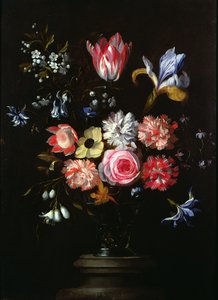 Stilleven van Bloemen