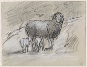 Schaap met twee lammetjes