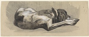 Slapende hond, naar rechts door Jan van Essen