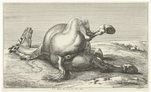 Gesneuveld paard door Jan van Huchtenburg
