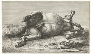 Gesneuveld paard liggend op de linkerzij door Jan van Huchtenburg