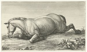 Gesneuveld paard op de buik liggend door Jan van Huchtenburg