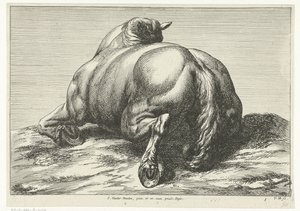 Gesneuveld paard op de buik van achter gezien door Jan van Huchtenburg
