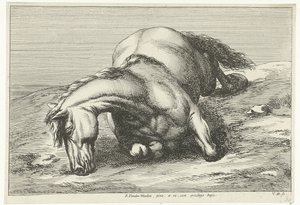Gesneuveld paard op de rechterzij liggend door Jan van Huchtenburg