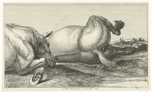 Twee achter elkaar liggende gesneuvelde paarden Gesneuvelde paarden (series title) door Jan van Huchtenburg
