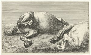 Twee gesneuvelde paarden waarvan de rechter van de zijkant gezien door Jan van Huchtenburg