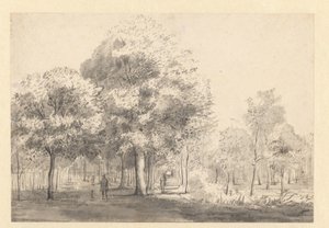 Gezicht op de Haarlemmerhout, Haarlem door Jan van Kessel (attributed to)