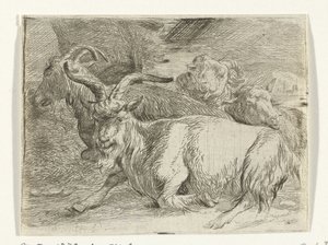 Twee geiten en twee schapen door Jan van Ossenbeeck