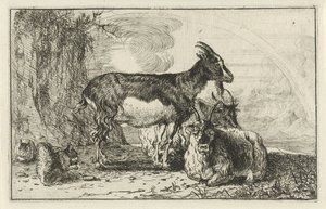 Geiten Dieren door Jan van den Hecke