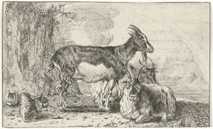 Geiten door Jan van den Hecke
