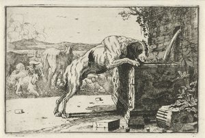 Hond bij een fontein