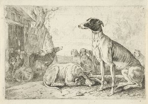 Hondenkennel door Jan van den Hecke