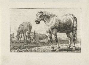 Paarden en koeien door Jan van den Hecke