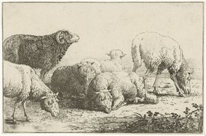 Schapen door Jan van den Hecke