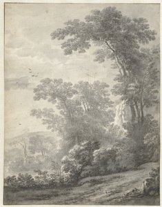 Berglandschap met bomen bij een rivier