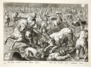 Een massale stierengevecht in een omheining, illustratie uit 